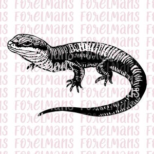 Lizard svg, lizard png, lizard clipart, skink svg, skink png, blue tongued skink svg, blue tongued skink png, reptile vector, reptile svg