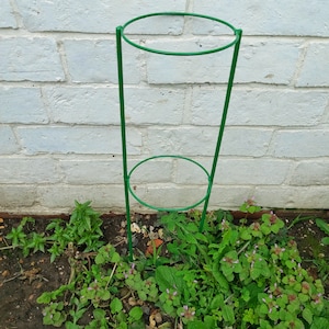 Könnte beinhalten: Ein grüner Pflanzenständer aus Metall mit zwei runden Ringen. Der Ständer steht in einem Gartenbeet mit grünen Pflanzen und brauner Erde.