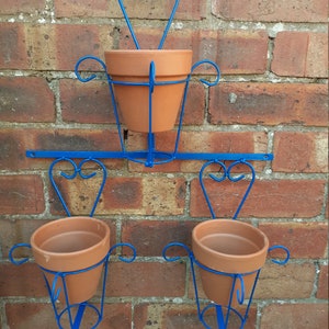 May include: A blue metal wall-mounted plant holder with three terracotta pots. The holder has a decorative scroll design.