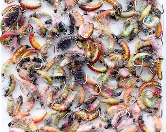 8 Mixed Gold Head Nymph Trout Fly, Various Patterns, Size 10/12, Fishing Flies E - Foto 9