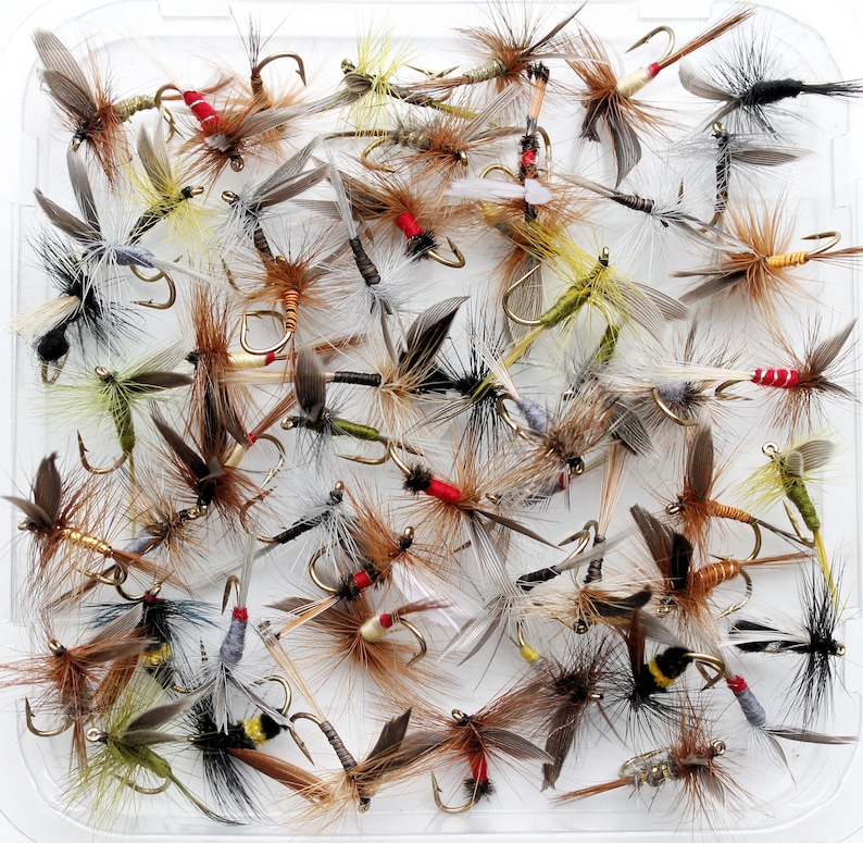Assorted Mixed Winged Dry Flies for Trout Fly Fishing Etsy