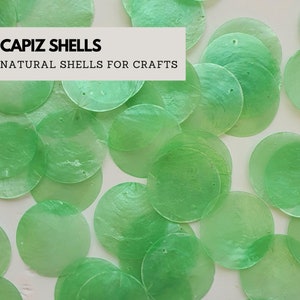 Peut inclure: Vue aérienne de coquillages Capiz ronds et translucides de couleur vert clair. Les coquillages sont dispersés sur une surface blanche. Le texte "CAPIZ SHELLS" et "NATURAL SHELLS FOR CRAFTS" est affiché dans un rectangle blanc.