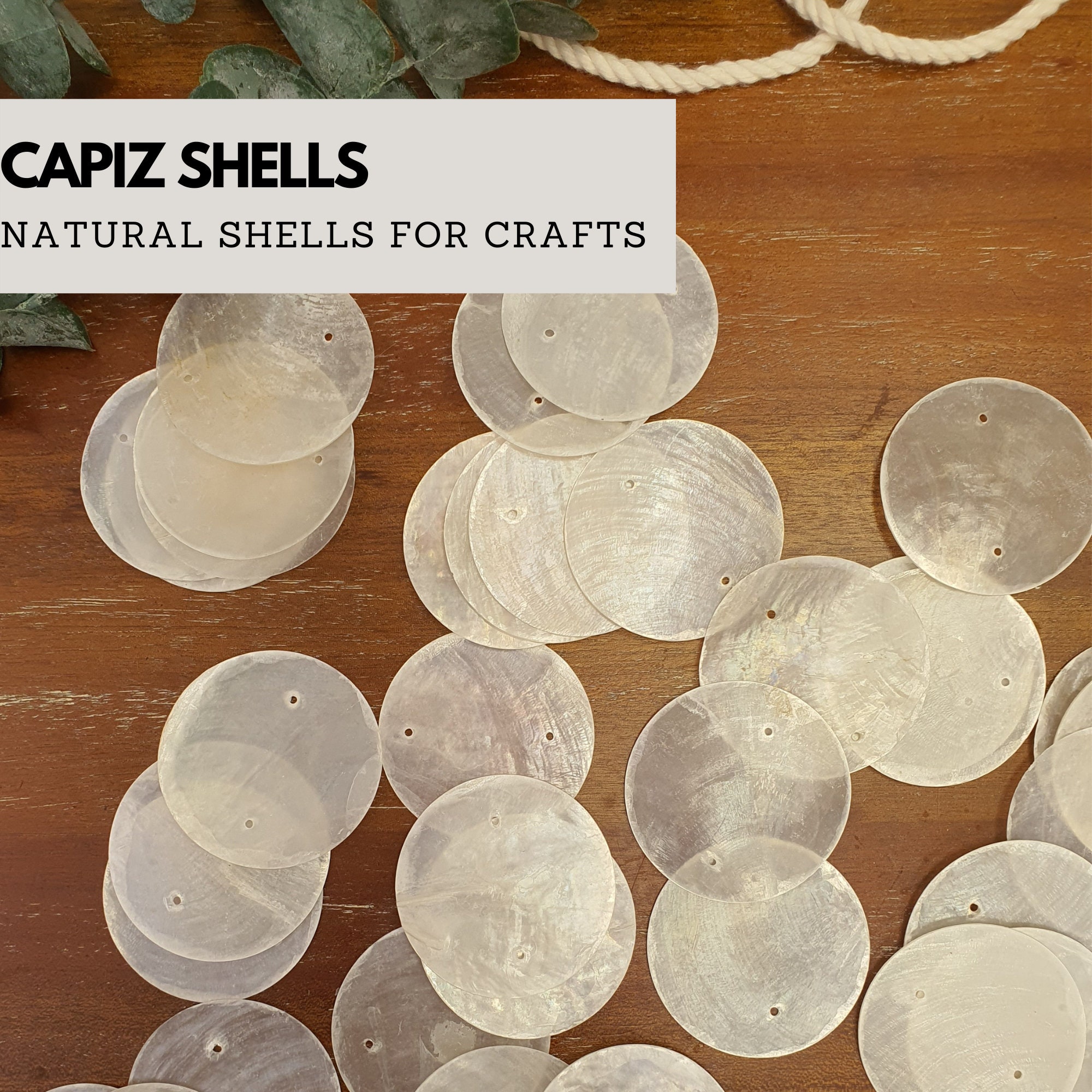 Natural Capiz Shells / 2 Holes /35mm or 50mm