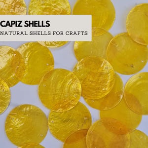 Puede incluir: Un conjunto de conchas capiz amarillas, redondas y translúcidas, dispersas sobre una superficie clara. Las conchas tienen un brillo natural e iridiscente, ideales para manualidades. El texto dice: "CAPIZ SHELLS NATURAL SHELLS FOR CRAFTS."