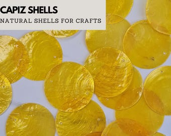 天然カピス貝 20～150個 / 0/1/2穴 /30/40/50/60/65/70 mm。貝殻