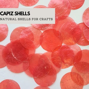 Può includere: Primo piano di un mucchio di conchiglie di capiz rosse. Le conchiglie sono rotonde e hanno una leggera lucentezza iridescente. Il testo "CAPIZ SHELLS NATURAL SHELLS FOR CRAFTS" è visibile nella parte superiore dell'immagine.