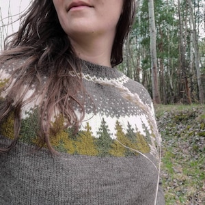 Forestsweater für Frauen, PDF knitting pattern auf Deutsch und english Bild 5