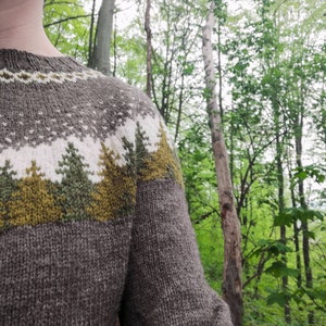 Forestsweater für Frauen, PDF knitting pattern auf Deutsch und english Bild 1