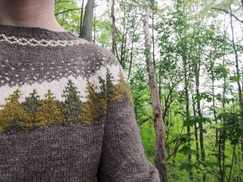 Forestsweater für Frauen, PDF knitting pattern auf Deutsch und english Bild 1