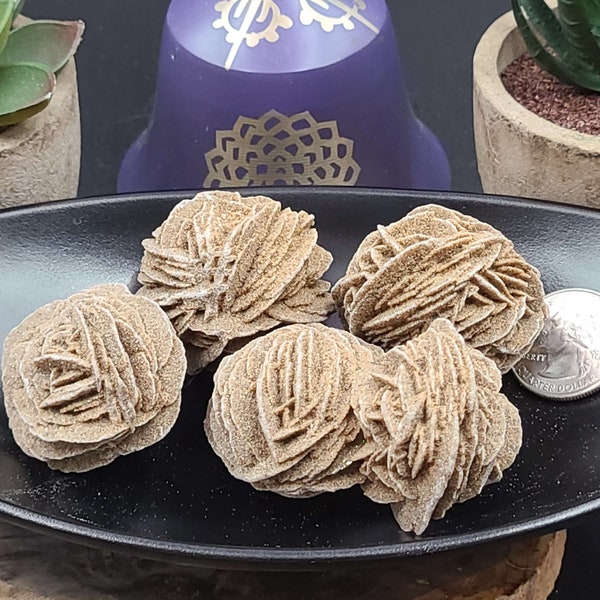 Desert Rose Pieces - Light Gypsum Rose-Like Tumble or Specimens - Crystal Stones - Astrology - Home Decor - Earth - Geology - Crystals