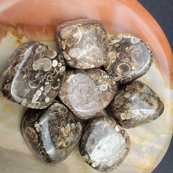 Shell Jasper Tumbles - Shell Jasper Tumbled Stones - Crystal Stones - Astrology - Home Decor - Earth - Geology - Crystals