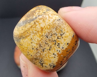 Picture Jasper Tumbles - Picture Jasper Tumbled Stones - Crystal Stones - Astrology - Home Decor - Earth - Geology - Crystals