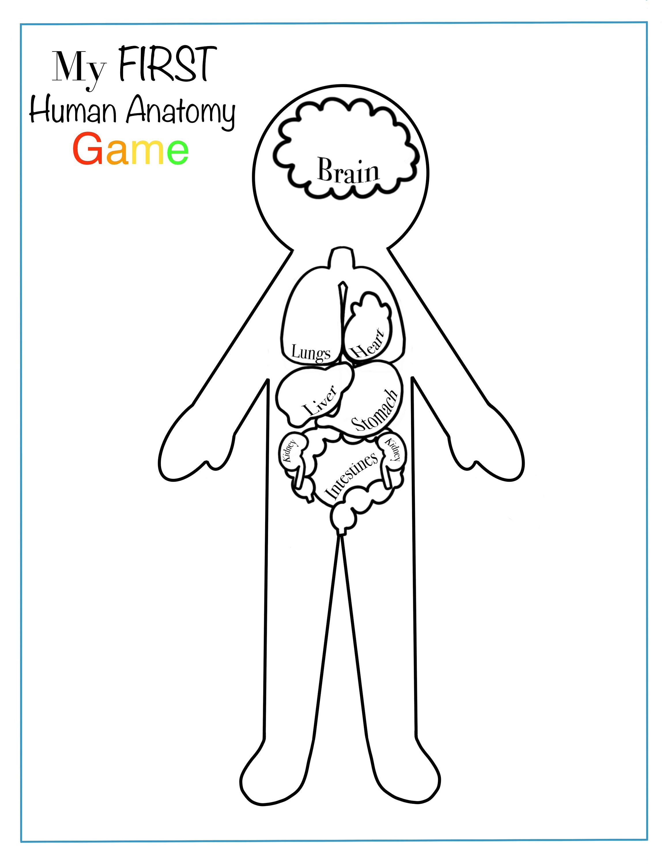Skeletal System Printable Human Body Preschool Activity the - Etsy
