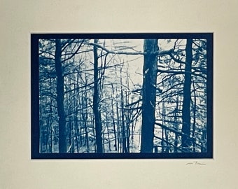Framed Cyanotype on Watercolor Paper, Cyanotype, print of woods, michigan artist photography print