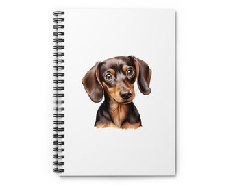 May include: A brown and black dachshund with short legs and floppy ears looks directly at the camera. The dog has a brown nose and brown eyes. The background is white.