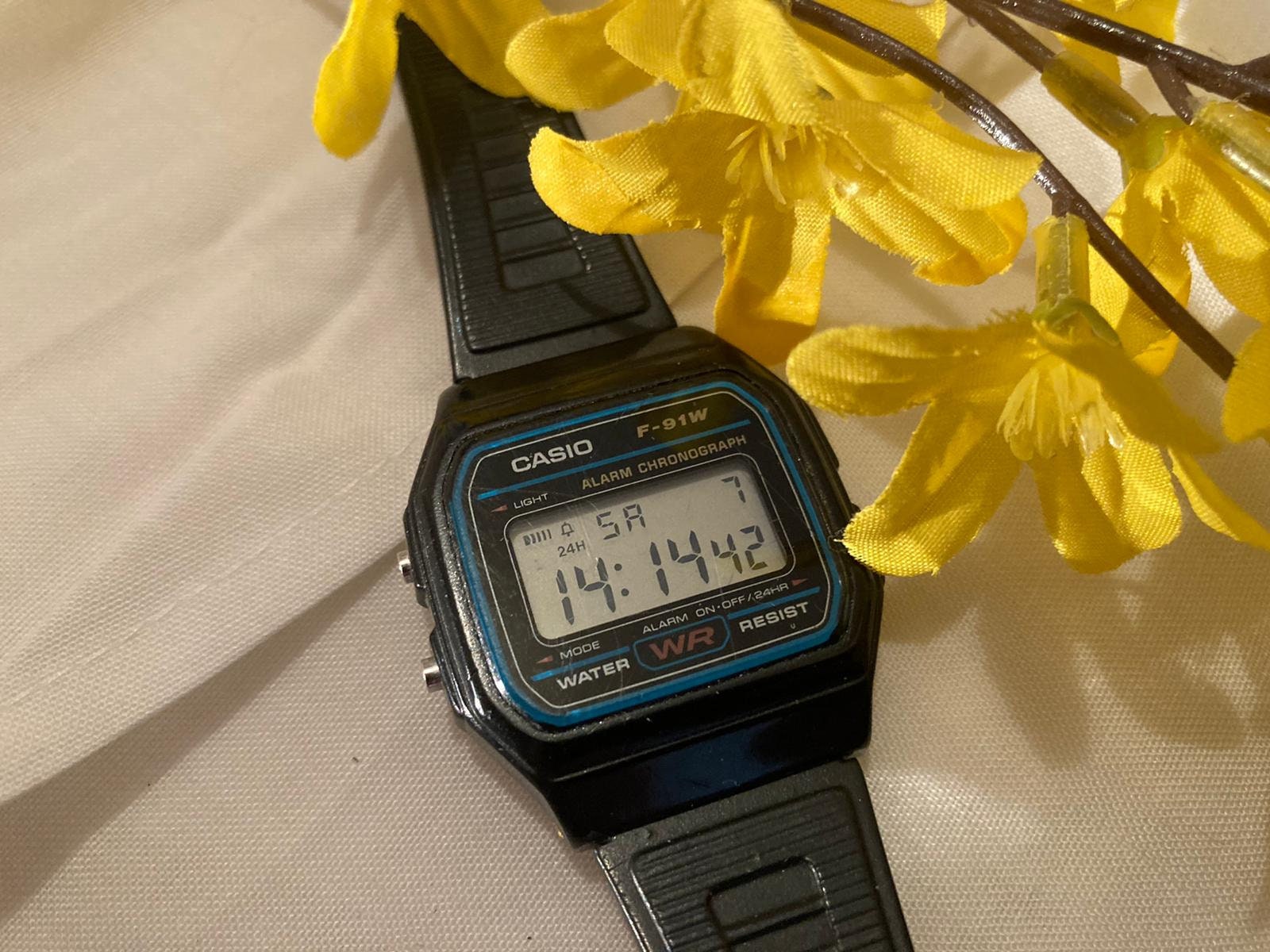 casio 80