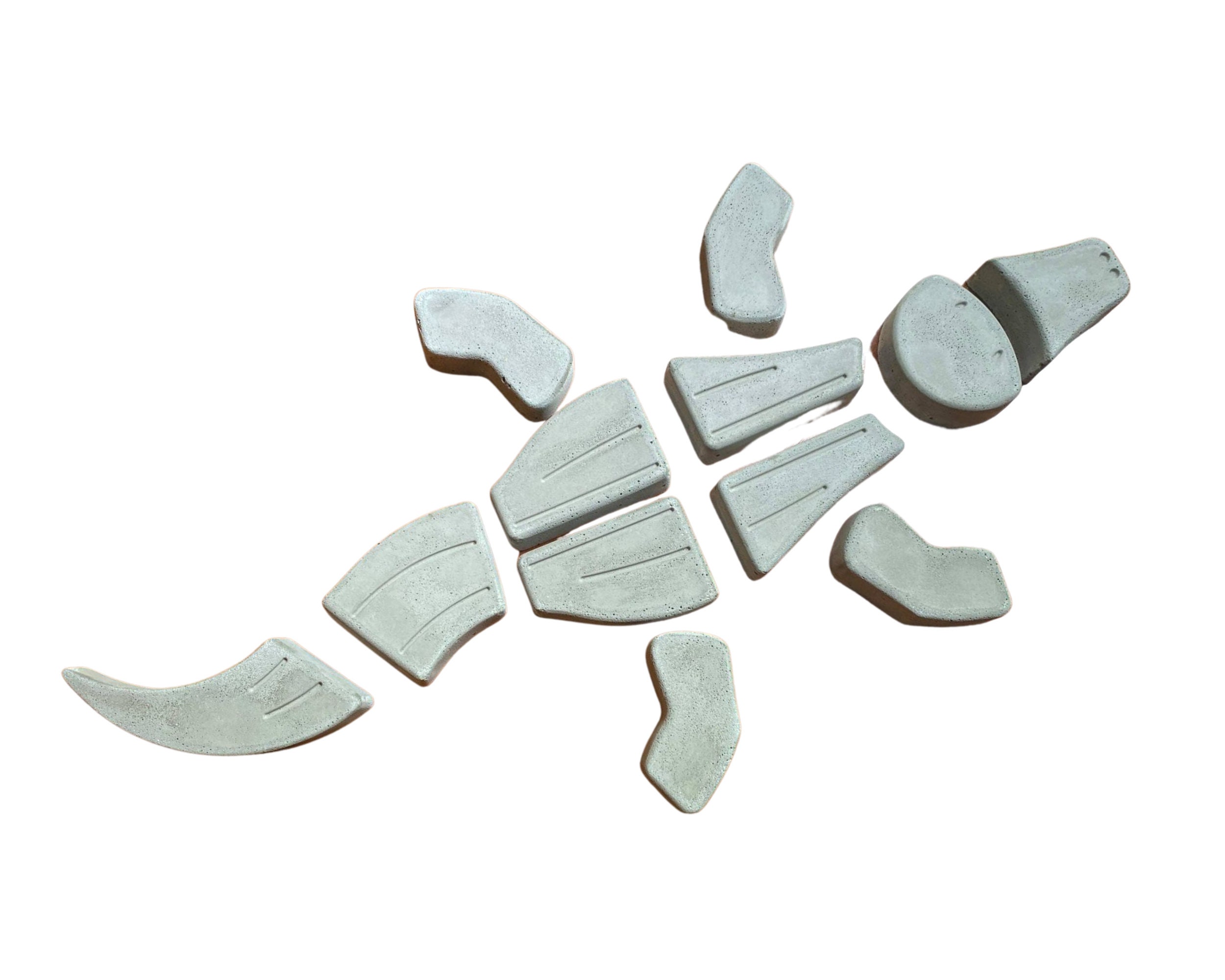 Alligator Stepping Stone, Alligator Stepping Stone, Alligator Garden