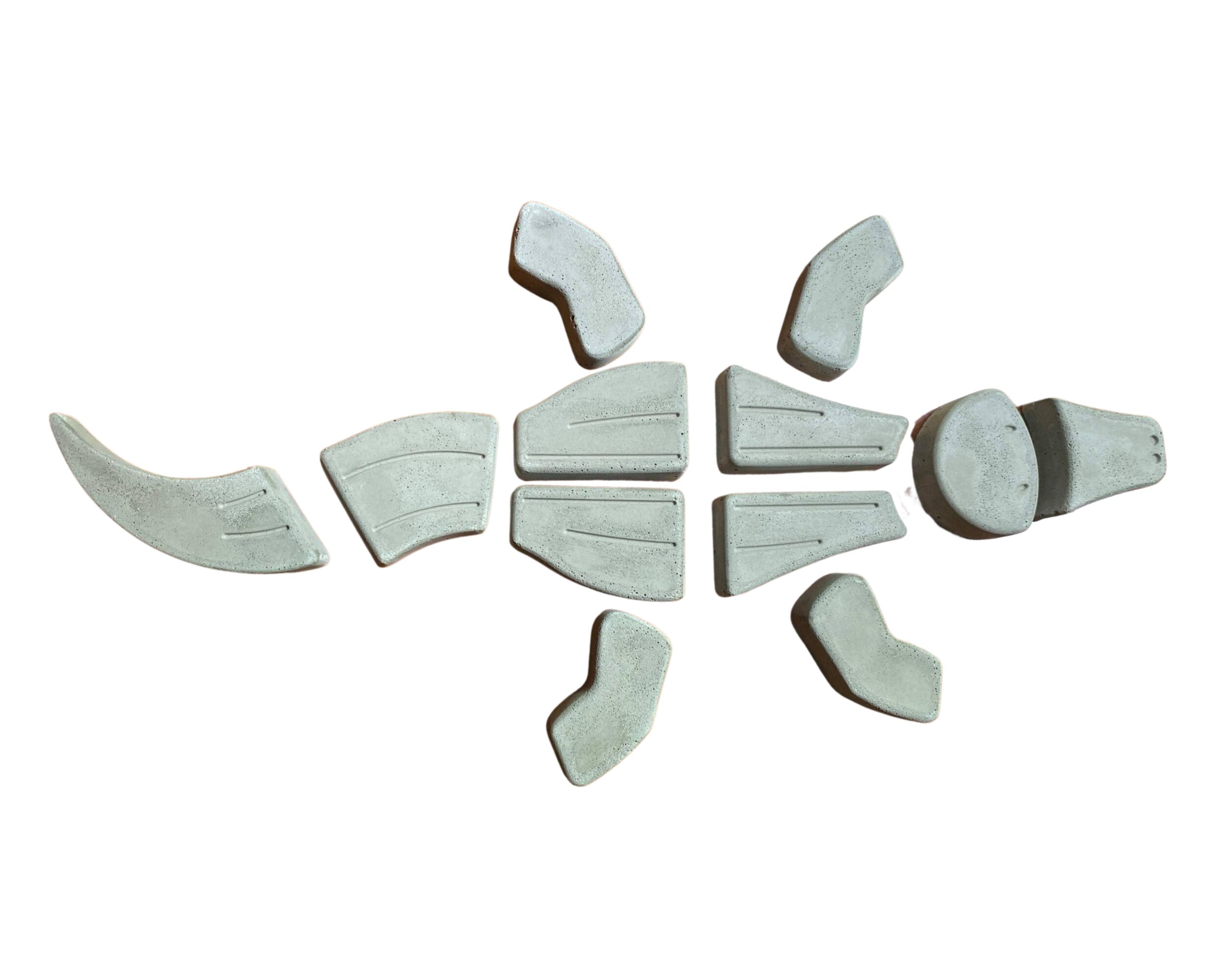 Alligator Stepping Stone, Alligator Stepping Stone, Alligator Garden