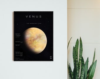 Digital Venus Poster