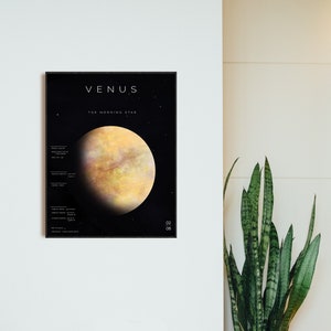 Digital Venus Poster