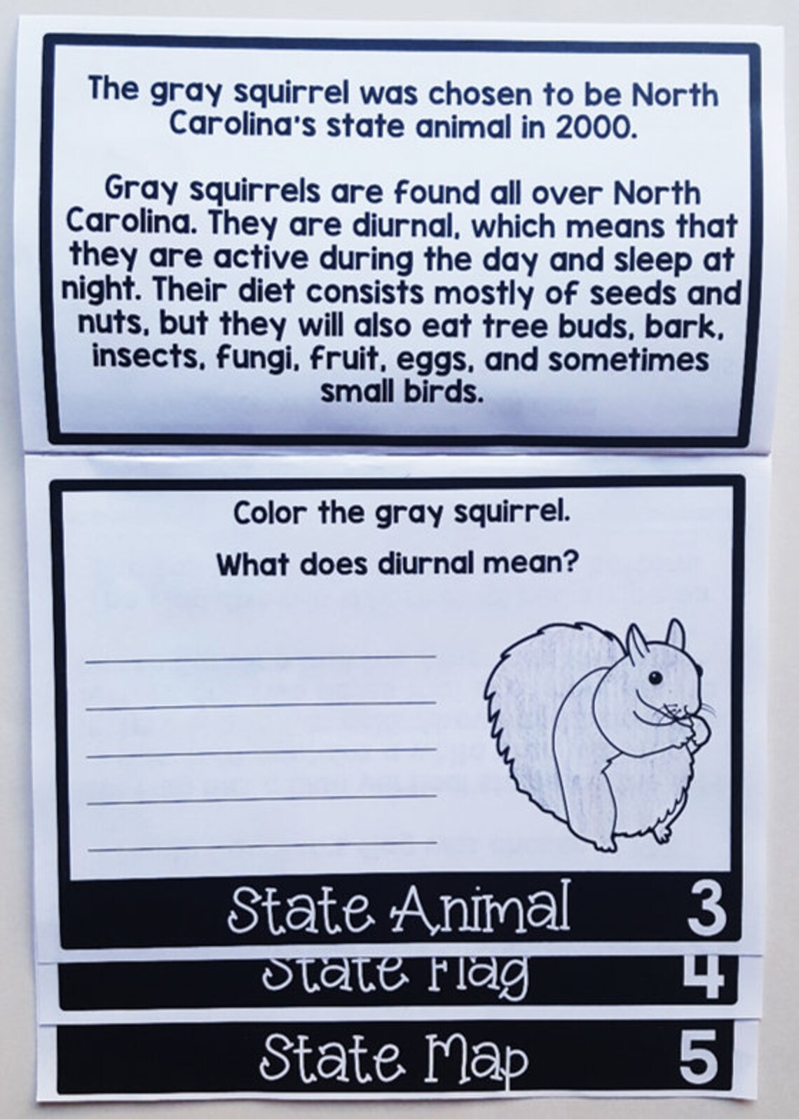 North Carolina State Flip Book | 3-5 | Homeschool | Social Studies ...