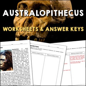May include: Black and white worksheet with the title "Australopithecus Worksheets & Answer Keys". The worksheet is about Neanderthals and compares their similarities and differences to modern humans.