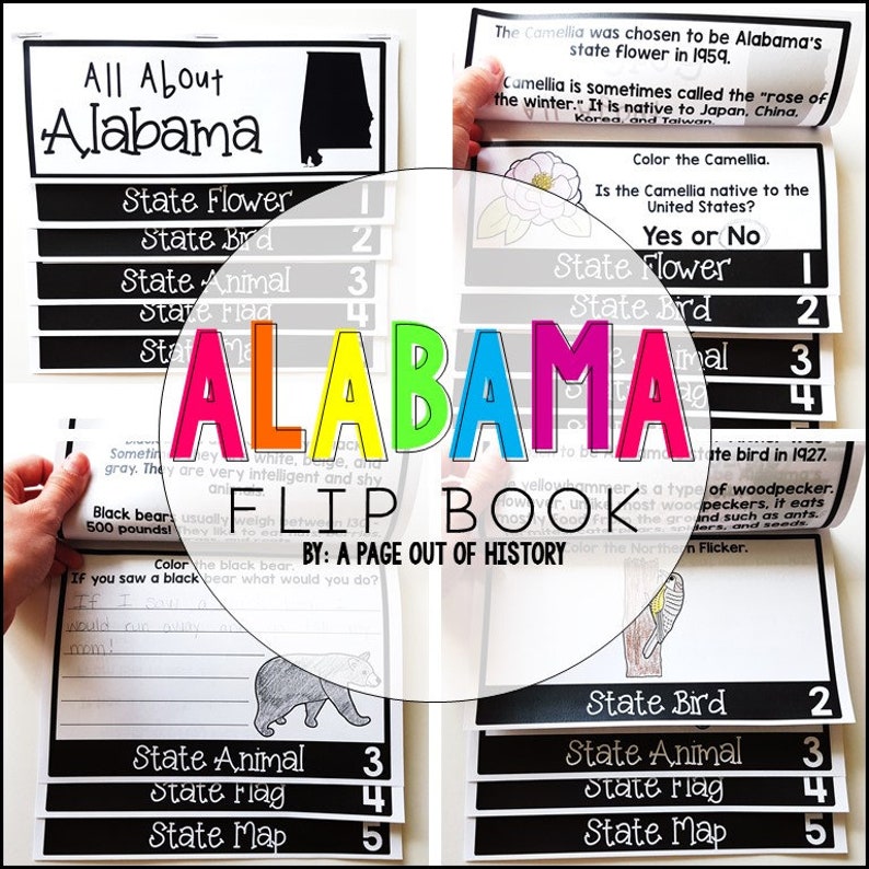 Alabama 3rd-5th Grade State Lesson | Symbols, Map, Flag, Reading ...