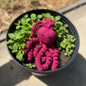 Catnip Octopus