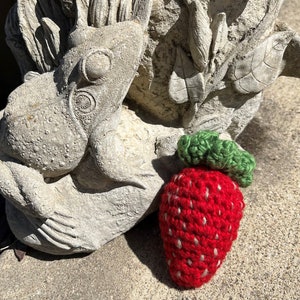 Catnip Strawberries