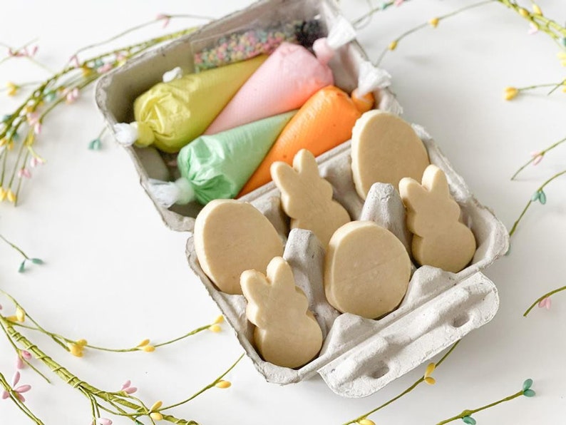 May include: An egg carton filled with Easter-themed cookie decorating supplies. The carton holds egg and bunny-shaped cookies, along with piping bags filled with green, yellow, pink, and orange frosting. Sprinkles are also included.