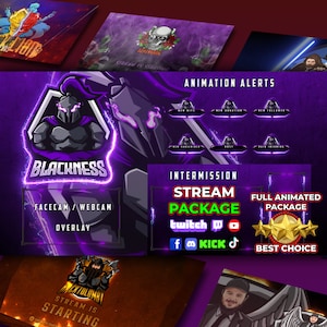 Custom Streaming Package for Twitch, Youtube - Animated Screens, Overlays, Alerts, Panel, made by order