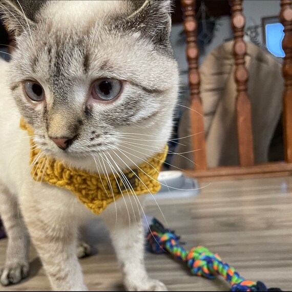 Decorative Collar Accessory for Cats New Pet Owner Gift Neckwear for Small Pets Handmade Pet Clothing Accessory Soft New Kitten Collars Etsy