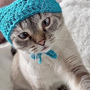 Chapeau chat au crochet coloré avec oreilles - chapeau personnalisé pour animal de compagnie, chapeau mignon pour animal de compagnie, bonnet chat rétro, chapeau mignon chaton, tenue de chat amusante