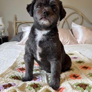 Granny Square Pet Blanket | Handmade Crochet Dog Blanket | Cat Blanket | Farmhouse Pet Bedding | Small Dog Blanket