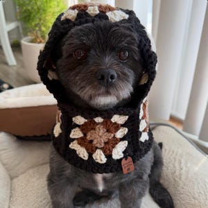 May include: A small, dark-haired dog wearing a handmade crochet hood. The hood features a black, brown, and cream granny square design. A small leather tag is attached. The dog is sitting on a white surface.