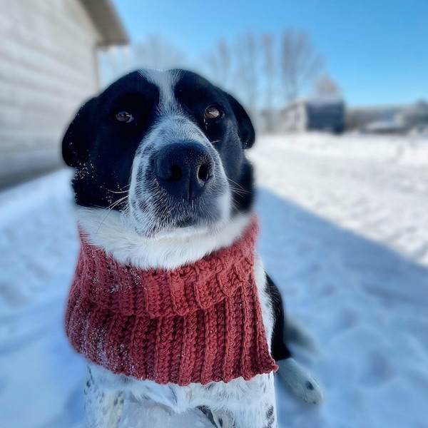 Warm winter wear for pet, Ribbed dog cowl, Holiday gift for canine, Handmade knit scarf for puppy, Dog winter accessory, Ribbed scarf dog