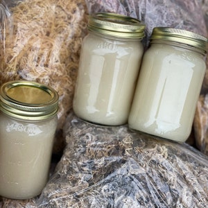 Wildcrafted Grenadian Raw Sea Moss