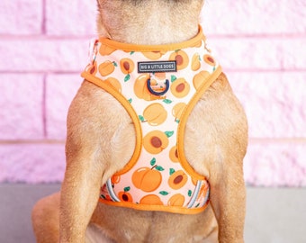 peach dog harness