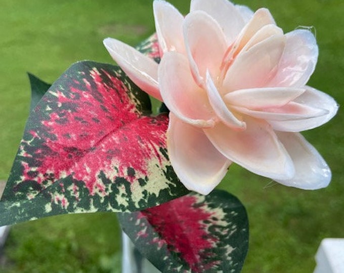 Sea Shell Decorative Flower - Etsy