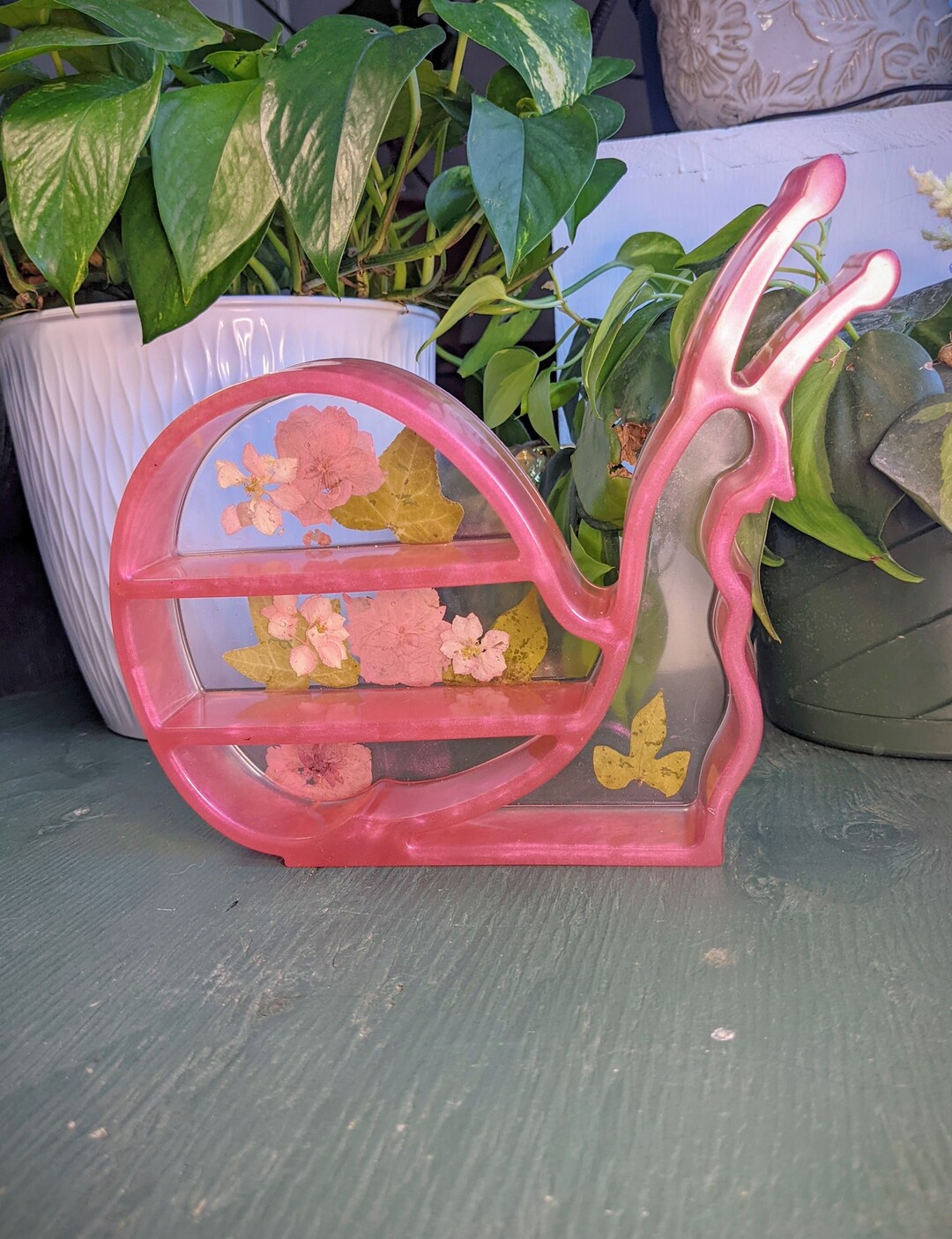 Snelf Snail Shelf for Crystal Storage Dice Display Etsy