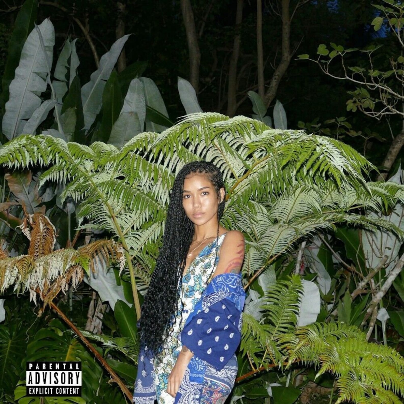 None Of Your Concern Jhene Aiko Album Cover Poster / Music Etsy
