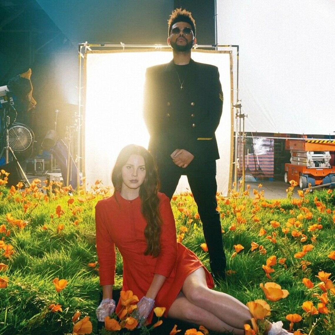 Lust For Life Lana Del Rey Album Cover Poster / Music Poster Etsy Lust For Life Lana Del Rey Album Cover Poster / Music Poster Etsy