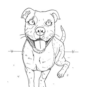 Custom pet portrait coloring pages, cat and dog personalized illustration, gift for animal lovers, hand drawn animal coloring book pages