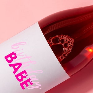 Happy Birthday Babe Wine Bottle Label Personalized Gift Funny Cute Wine Label Gift for Her Him Gift Ideas Wine Gifts Pink Girly Spring 21