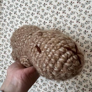 Capybara Amigurumi | Plush | Handmade | Crochet