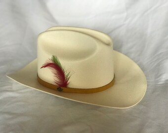 May include: A white cowboy hat with a brown band and a red and green feather accent.