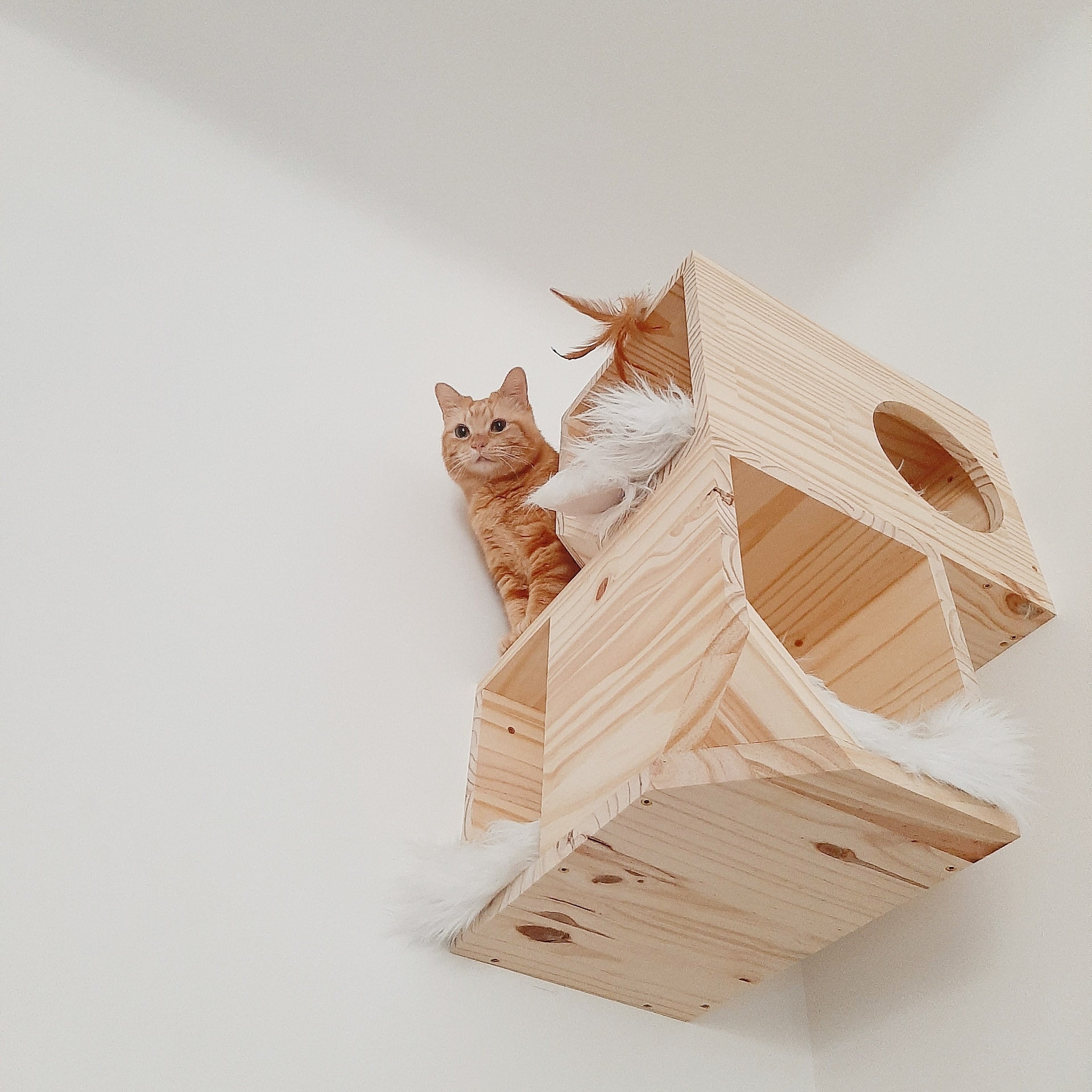 Le Cube Laisse-Moi Dormir