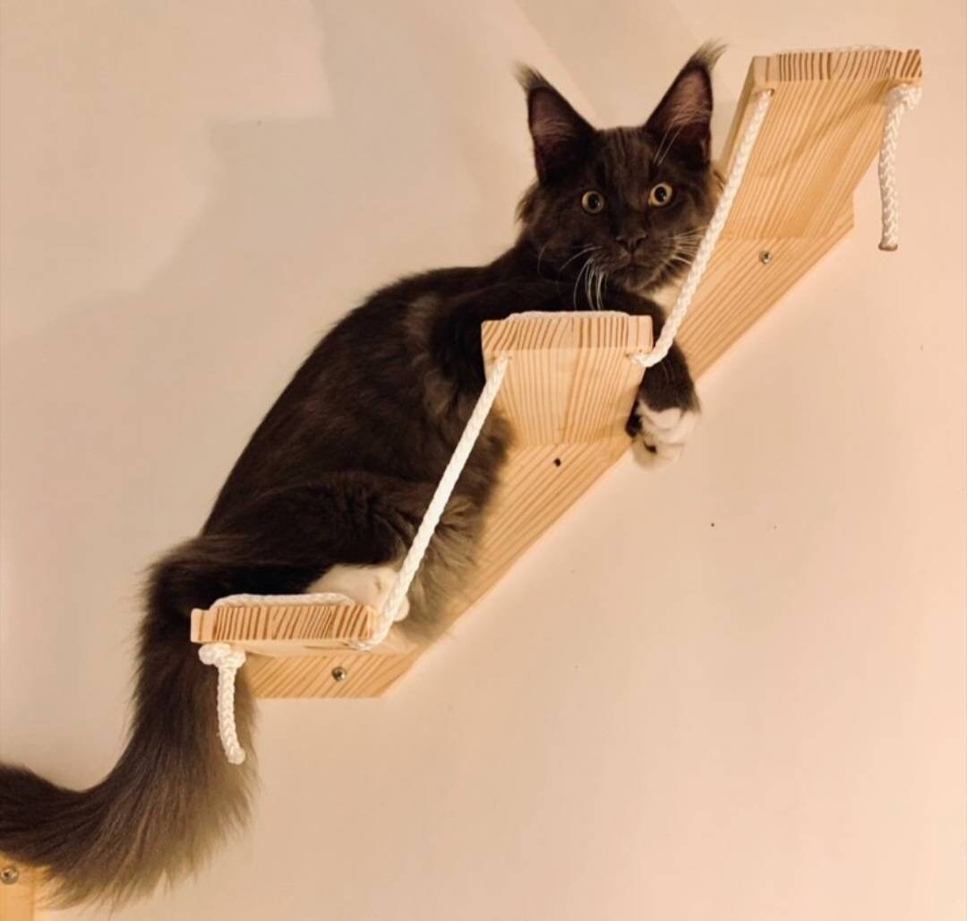 L'escalier Aller Plus Haut