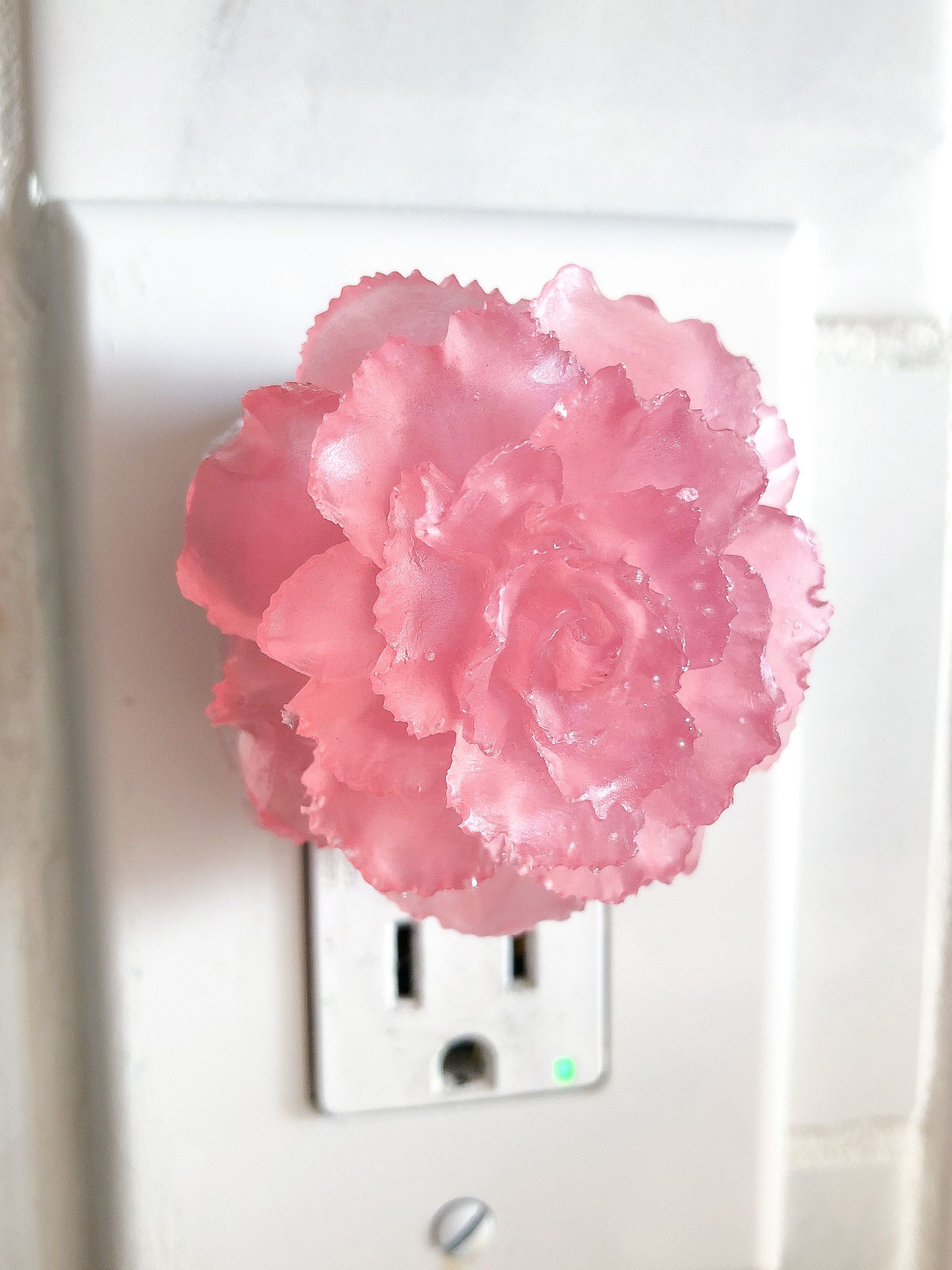 Wall Night Light | Gift for Her Flower Night Light | Flowers for Mom | Cute Anniversary Gift Bathroom Decor Botanicals Carnations