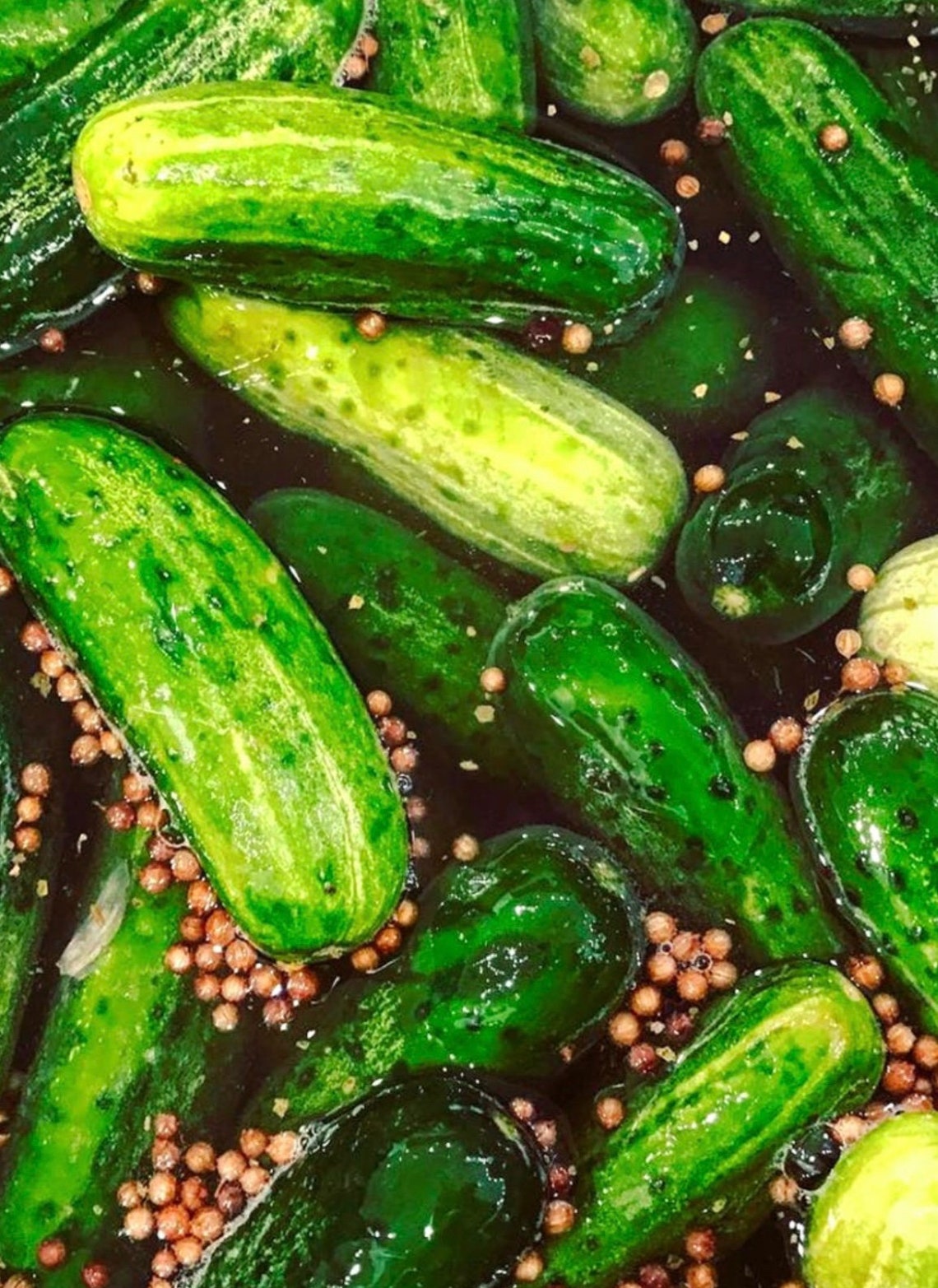 100% Organic Pickled Baby Cucumbers | Etsy